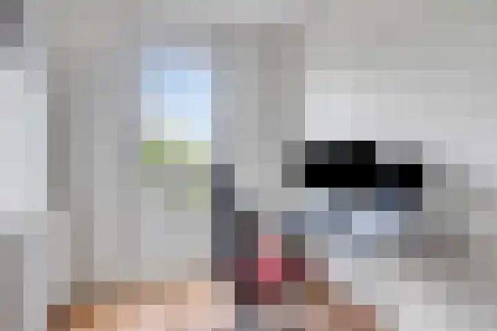De Hank 31 Leusden thumbnail 17