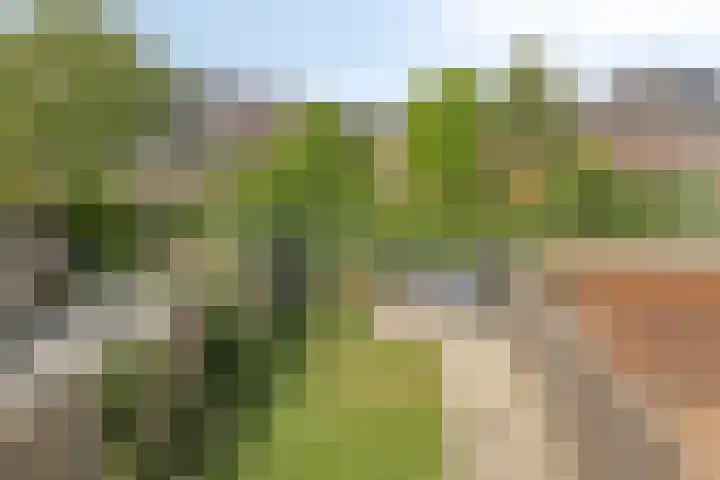 De Hank 31 Leusden thumbnail 19