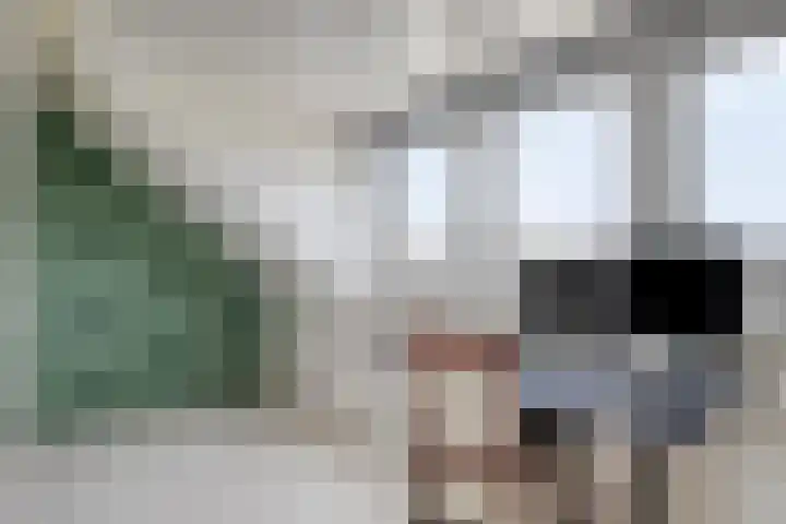 De Hank 31 Leusden thumbnail 25