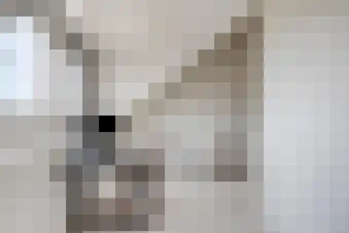 De Hank 31 Leusden thumbnail 26