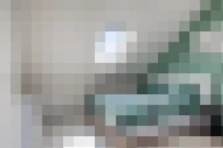De Hank 31 Leusden thumbnail 28