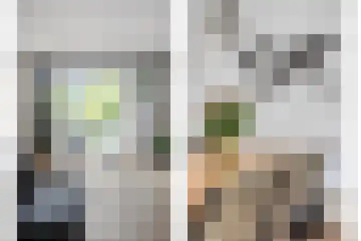 De Hank 31 Leusden thumbnail 5