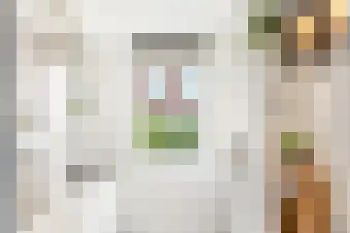 De Hank 47 Leusden thumbnail 16