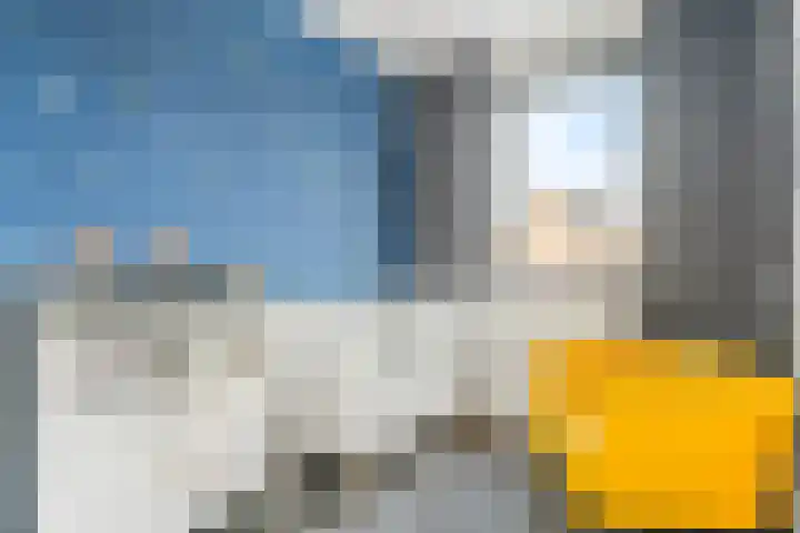 De Hank 47 Leusden thumbnail 21