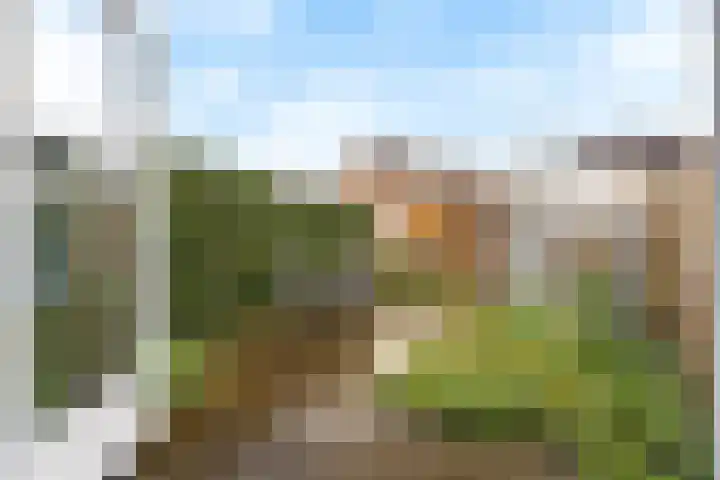 De Hank 47 Leusden thumbnail 34