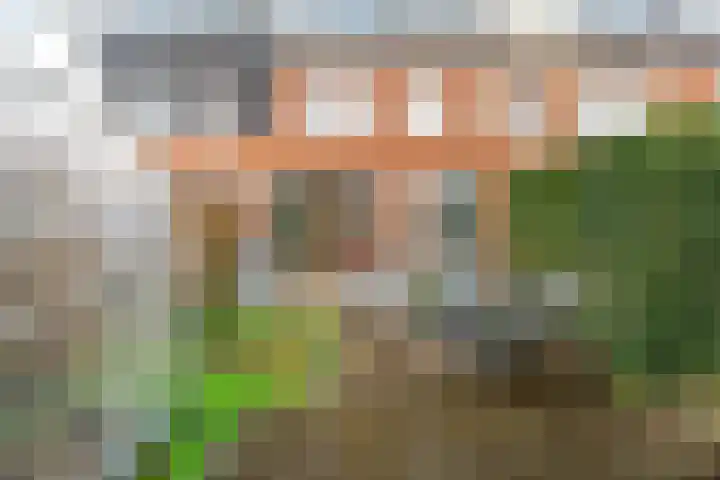 De Hank 47 Leusden thumbnail 35