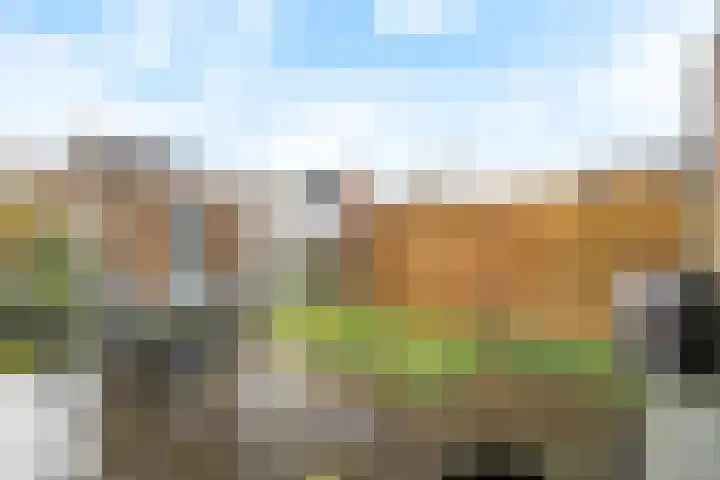 De Hank 47 Leusden thumbnail 37