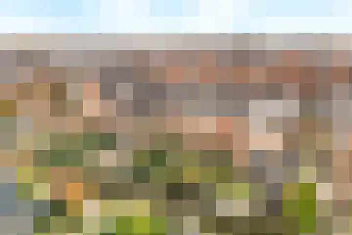 De Hank 47 Leusden thumbnail 41