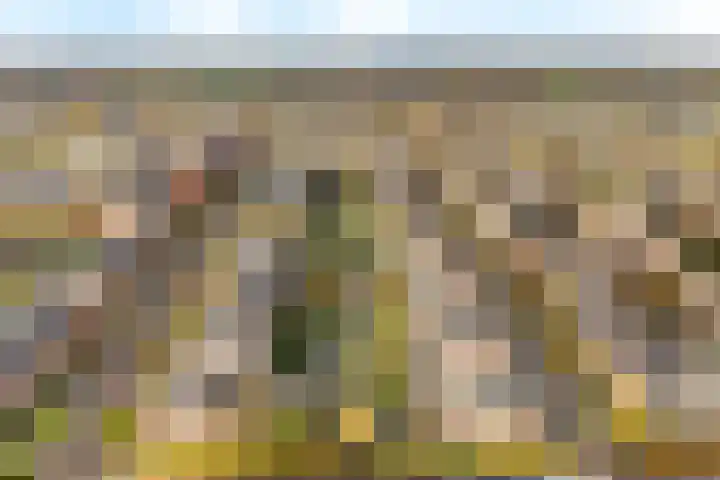 De Hank 47 Leusden thumbnail 43
