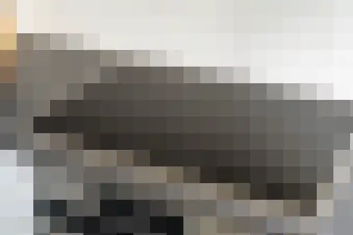 De Hannen 6 Oudega thumbnail 23