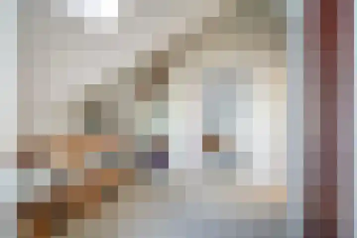 De Hannen 6 Oudega thumbnail 26