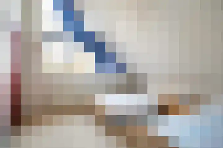 De Hannen 6 Oudega thumbnail 27
