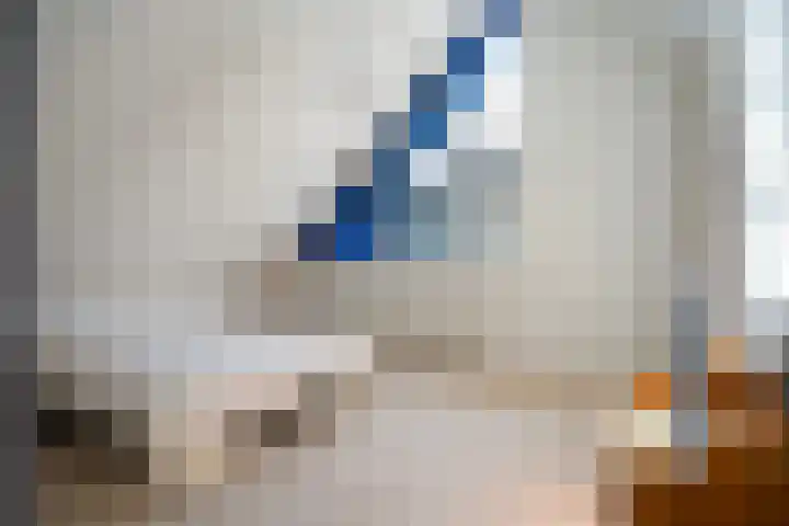 De Hannen 6 Oudega thumbnail 31