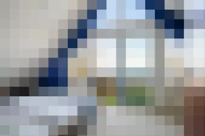 De Hannen 6 Oudega thumbnail 33