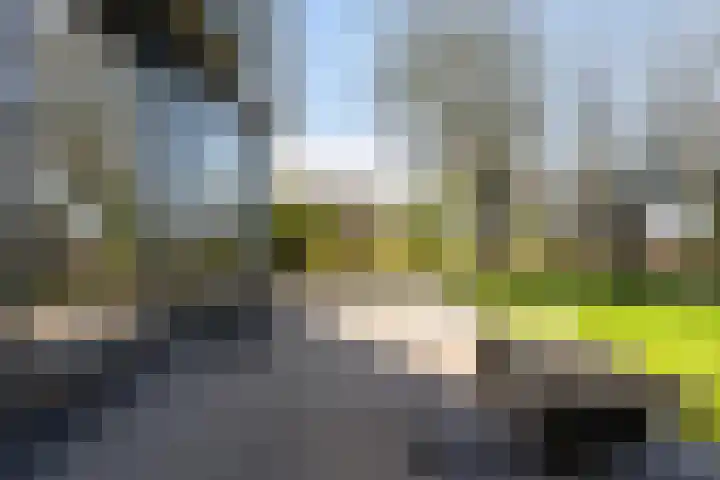 De Hannen 6 Oudega thumbnail 37
