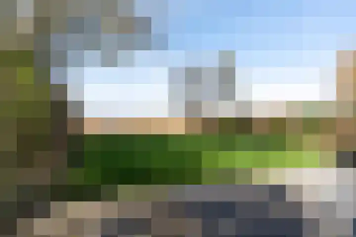 De Hannen 6 Oudega thumbnail 38