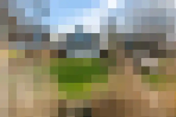 De Hannen 6 Oudega thumbnail 40