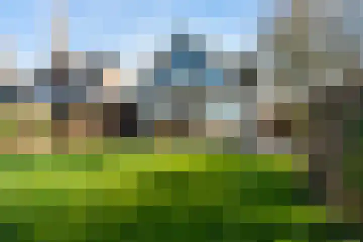 De Hannen 6 Oudega thumbnail 41