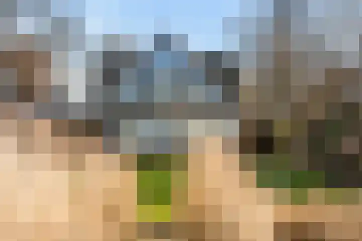 De Hannen 6 Oudega thumbnail 42