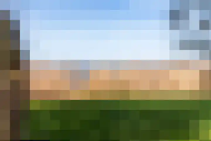 De Hannen 6 Oudega thumbnail 43