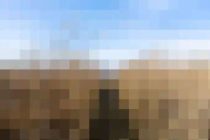 De Hannen 6 Oudega thumbnail 44