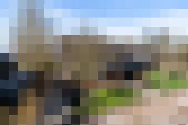 De Hannen 6 Oudega thumbnail 48