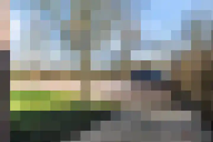 De Hannen 6 Oudega thumbnail 53