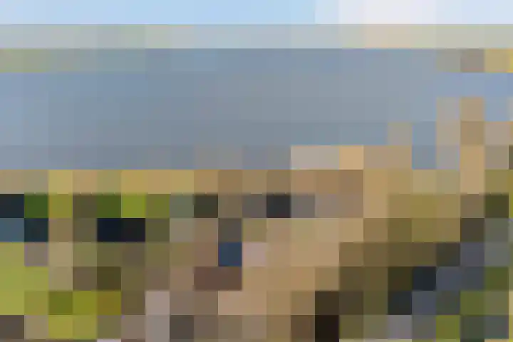 De Hannen 6 Oudega thumbnail 58