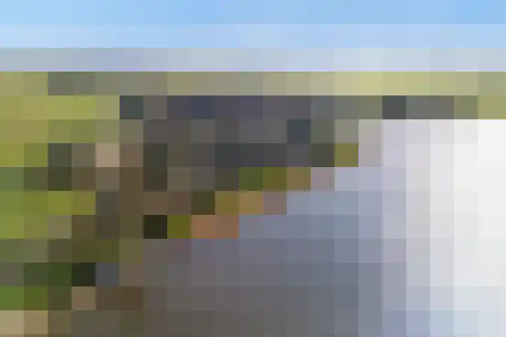 De Hannen 6 Oudega thumbnail 59