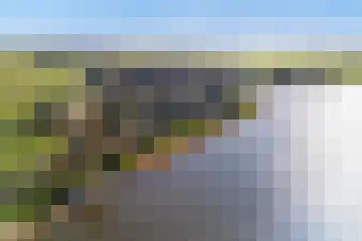 De Hannen 6 Oudega thumbnail 6