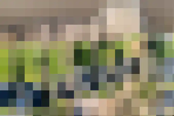 De Hannen 6 Oudega thumbnail 61