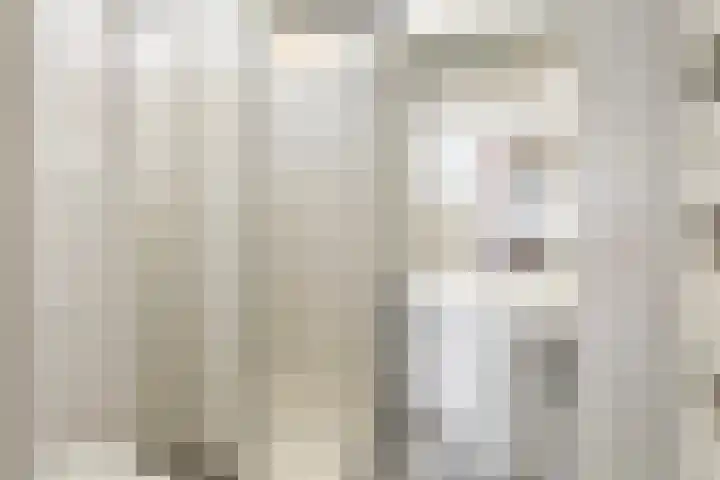 De Hannen 6 Oudega thumbnail 8