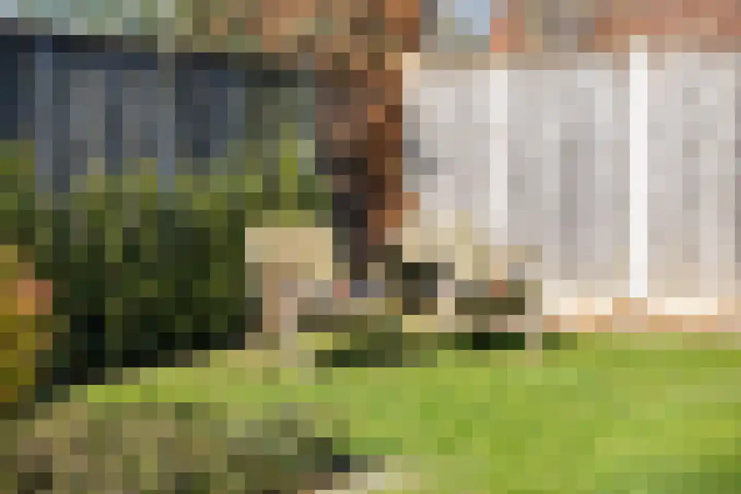 De Hare 5 Aalten thumbnail 23