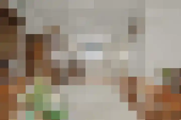 de Hare 80 Oldemarkt thumbnail 13