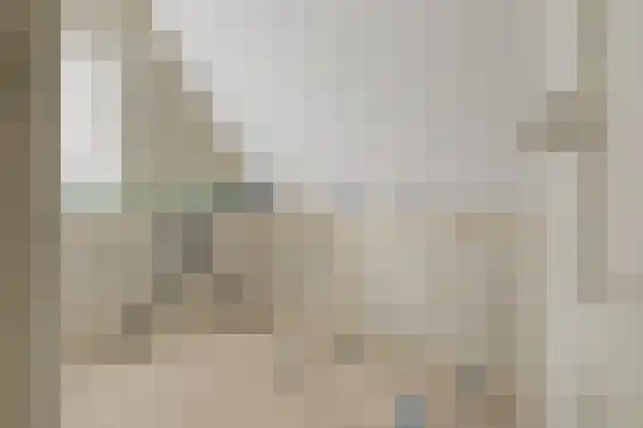 de Hare 80 Oldemarkt thumbnail 24