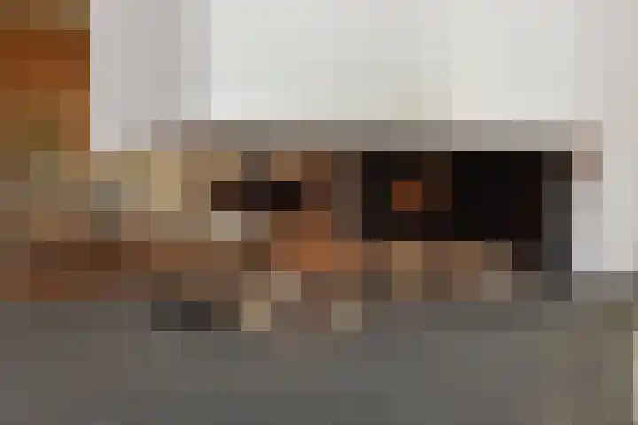 De Harnasch 41 Pijnacker thumbnail 13