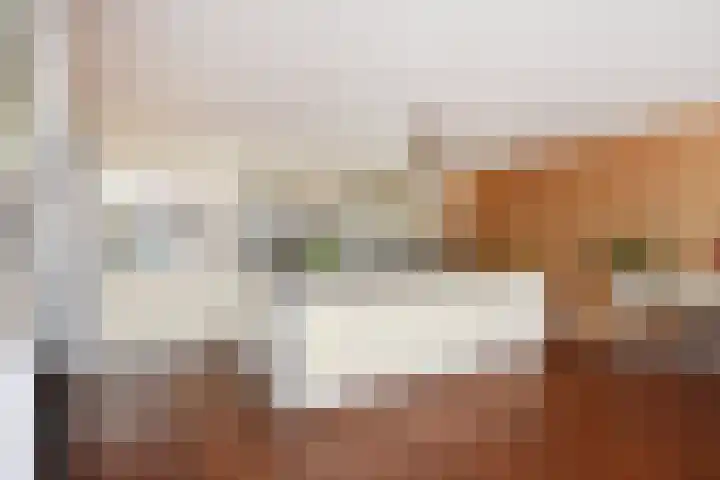 De Harnasch 41 Pijnacker thumbnail 15