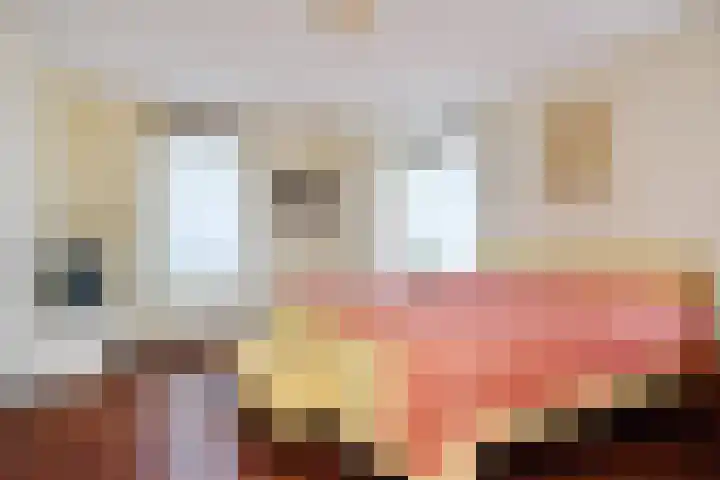 De Harnasch 41 Pijnacker thumbnail 19