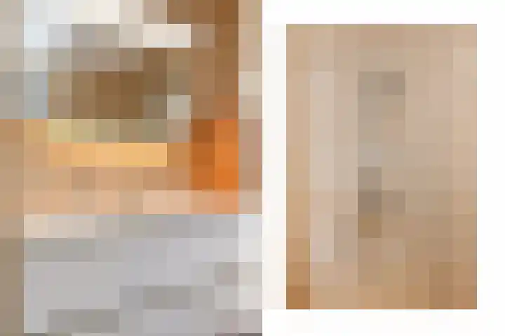 De Harnasch 41 Pijnacker thumbnail 21