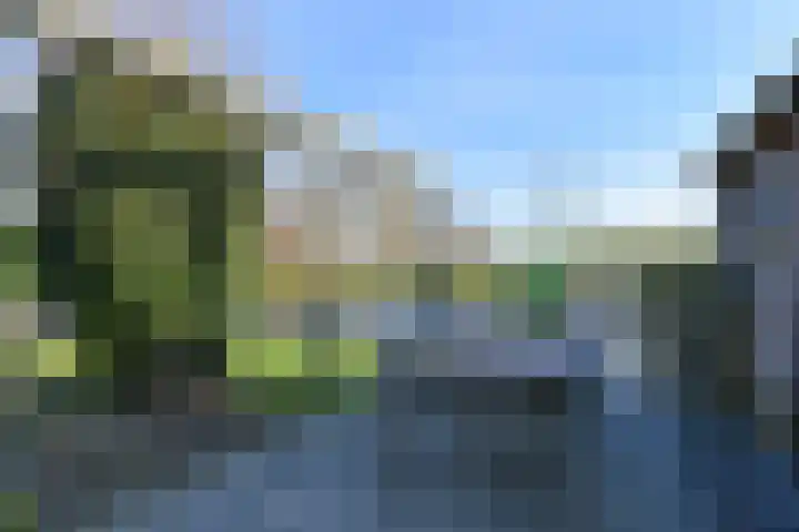 De Harnasch 41 Pijnacker thumbnail 46