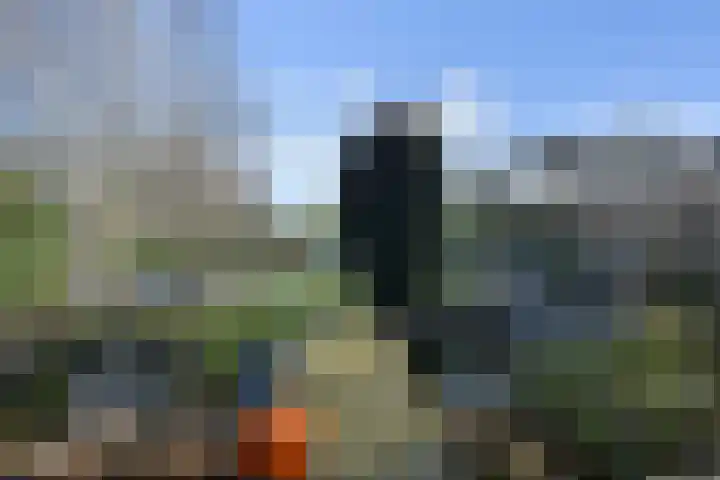 De Harnasch 41 Pijnacker thumbnail 5
