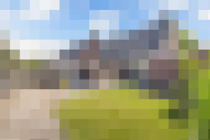 De Harst 2 Bolsward thumbnail 37
