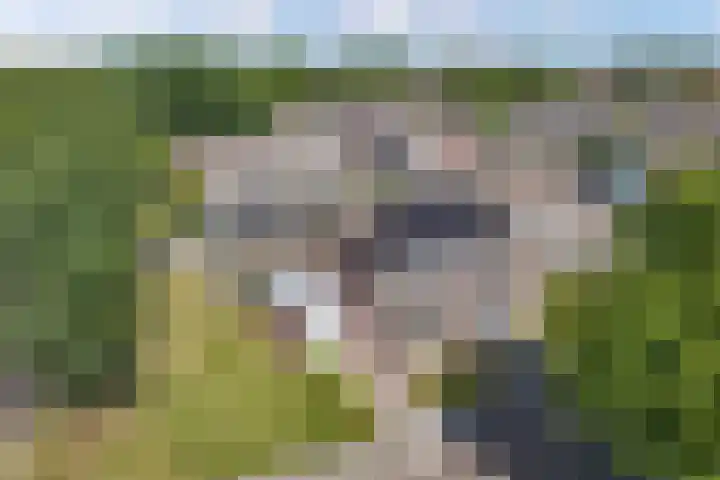 De Harst 2 Bolsward thumbnail 42