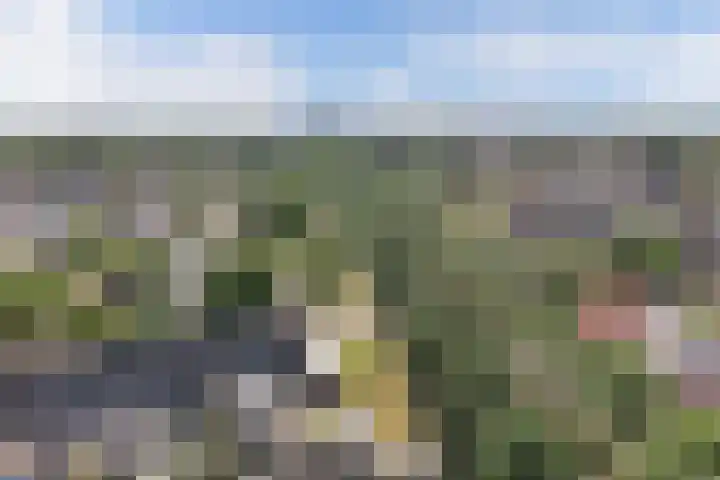 De Harst 2 Bolsward thumbnail 48