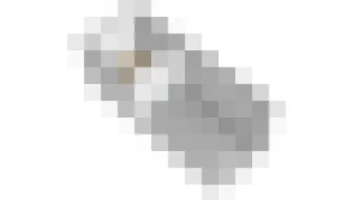 De Harst 2 Bolsward thumbnail 56