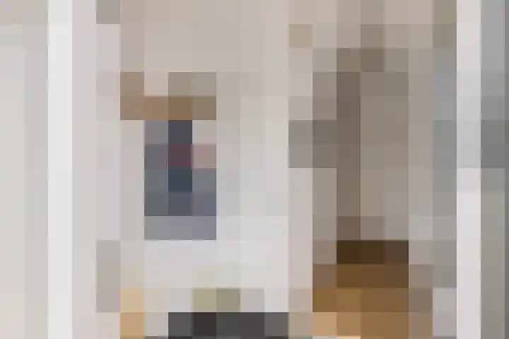 De Harst 2 Bolsward thumbnail 6