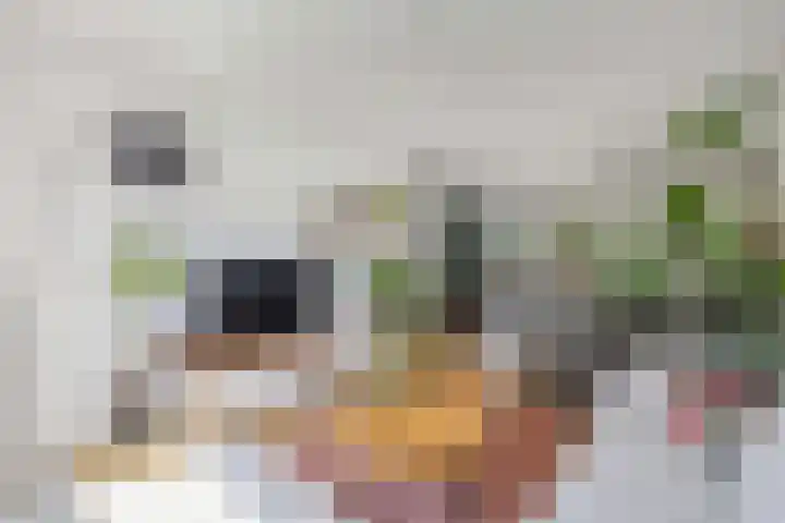 De Harst 2 Bolsward thumbnail 9