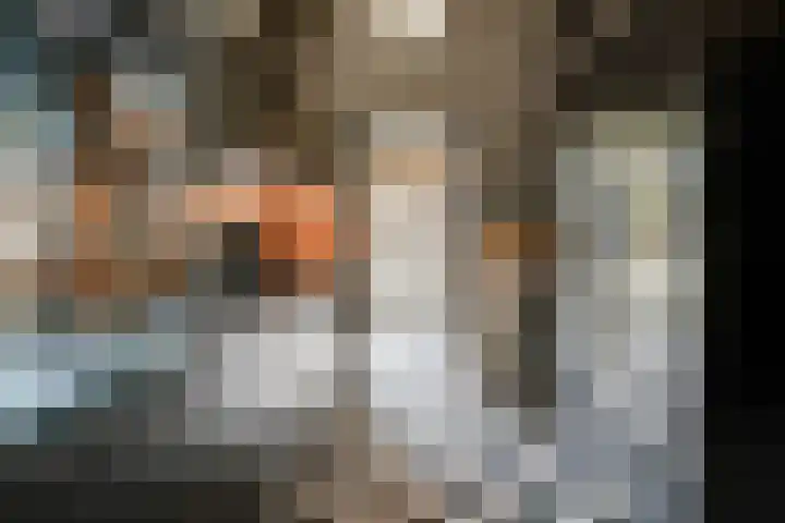 De Haspel 9 Arnhem thumbnail 12