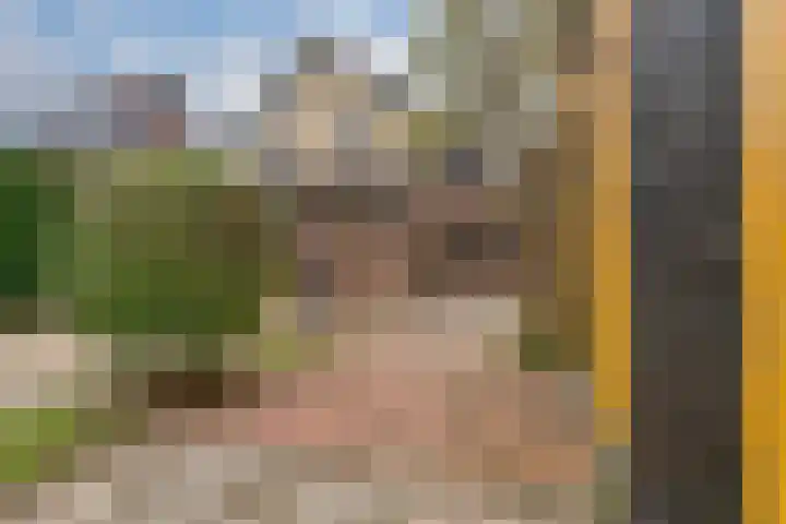 De Haspel 9 Arnhem thumbnail 22
