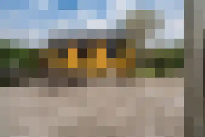 De Haspel 9 Arnhem thumbnail 23